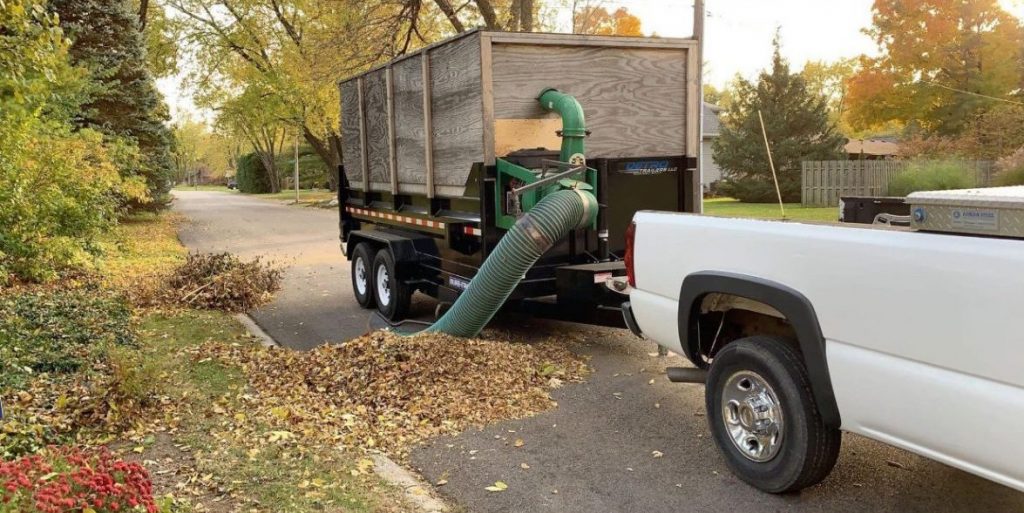 leaf removal services in my area